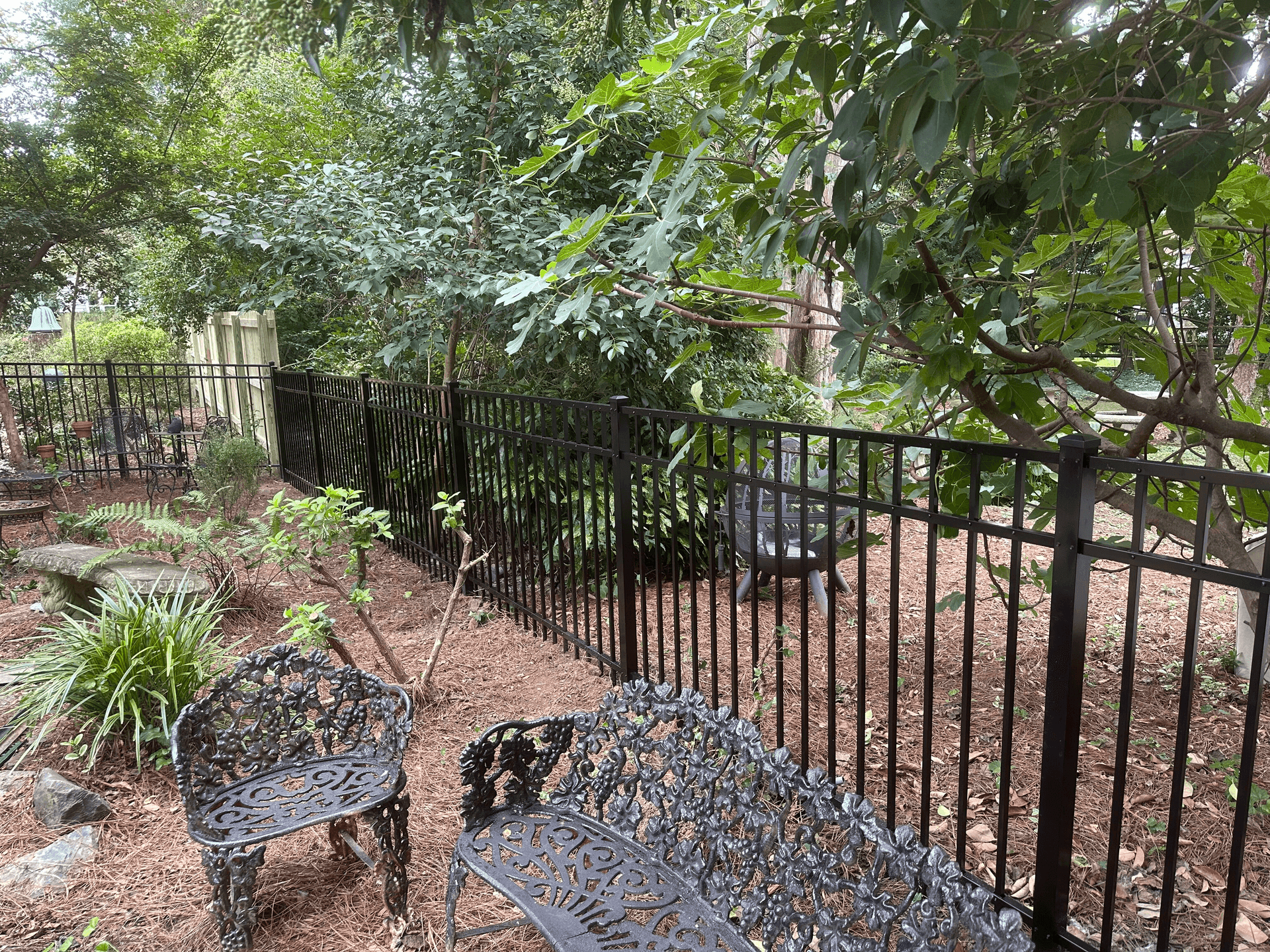 Side-by-side comparison of wood and aluminum fences in a Rock Hill backyard